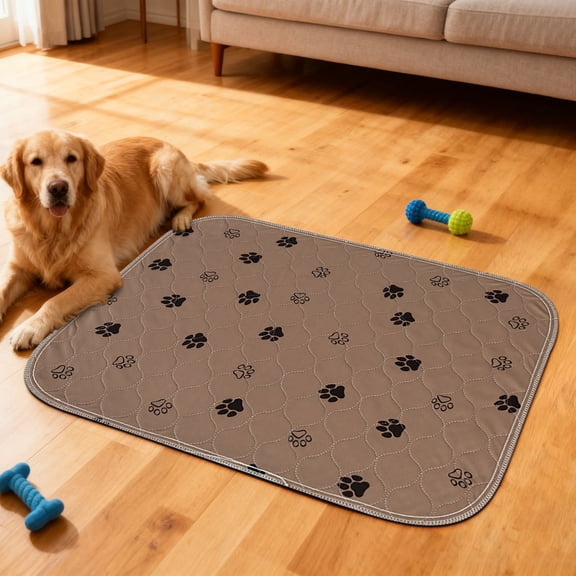 Upgraded Bloompad Pee Pads The Pee Pad Dogs Actuallyuse 2026 Puppy Pads E