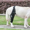 Upgraded Dog Leg Brace Dog Joint Support And Recovery Walking Aid Strap