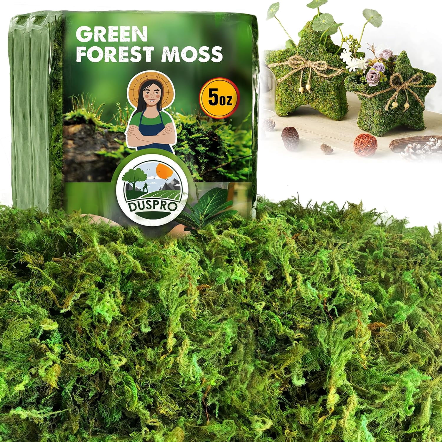 [Upgraded] Green Moss for Crafts, Real Forest Moss Potted Plants, Decorative Mosses for Table Centerpieces Wedding Christmas Fairy Party Decor, Indoor Planters, DIY Project (5 oz)