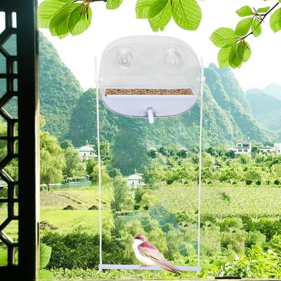 Upgraded Oval Bird Feeder Outdoor Use