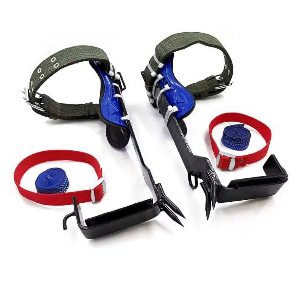 Upgraded Tree/Pole Climber Climbing Spike Kit, Safety Adjustable Belt