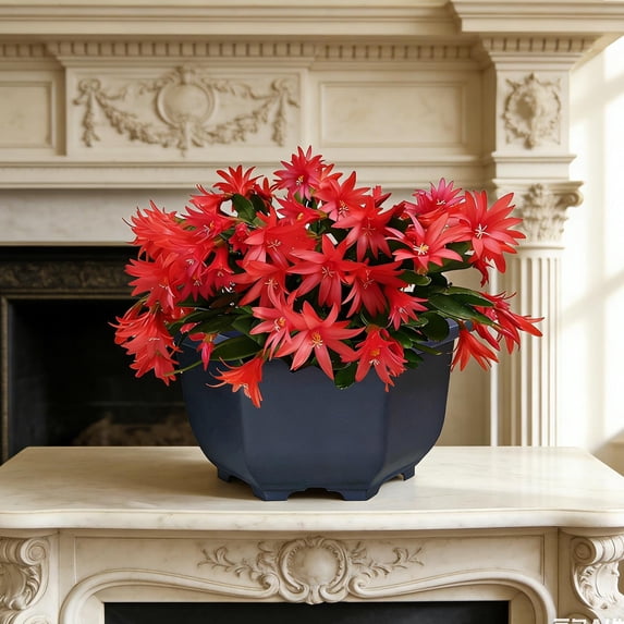 Upgraded Versatile Flowerpot Potted Home Gardening Balcony Succulents Plants Pot With Drainage Holes G