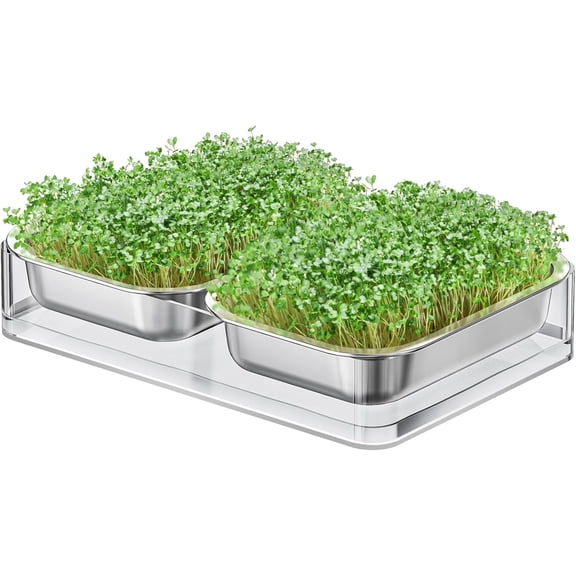 Upgraded Visual Seed Sprouter Tray, Stainless Steel Soil-Free Cultivation Germination Tray with Acrylic Base, Healthy Microgreens Growing Kit for Indoors Sprouting Seeds, Grow Grass, Beans