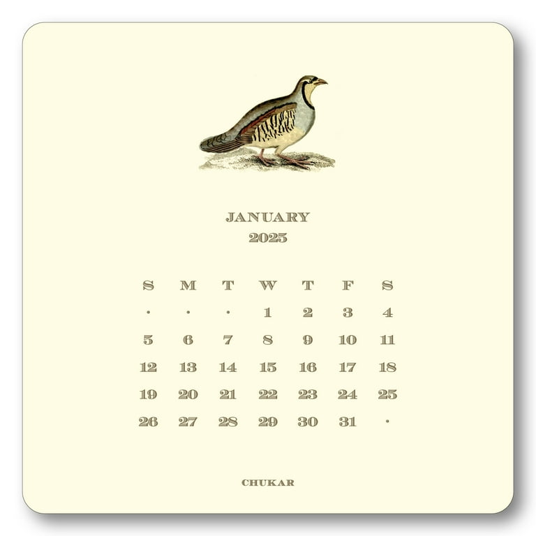 2026 Upland Bird Calendar with Easel 2026 Upland Bird Calendar with Easel