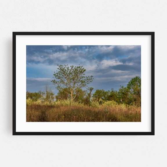 Upland Meadow Sunrise - York Pennsylvania Photography Black Framed Wall Art Print 16 x 24 inches