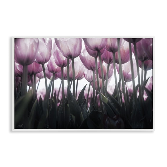 Stupell Industries Uplifting Purple Tulip Field White Framed Giclee Art, design by Martin Podt