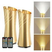 Uplighting Indoor Floor Can Light, 2700K to 6500K Up Lights Indoor with Remote & Timer, 3 Color Temperatures Accent Lighting Spot Lights Indoor for Home Plant Picture, 5.9ft Cord, 2 Pack