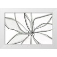 thumbnail image 1 of Uplusmestudio 18x13 White Modern Wood Framed Museum Art Print Titled - Fragile Flower, 1 of 4