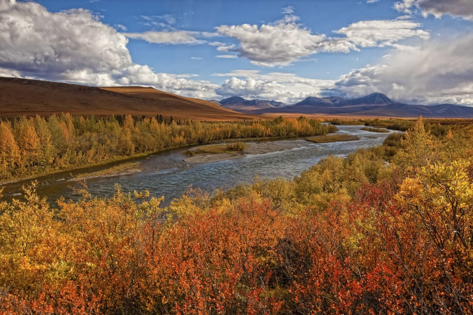 Upper Blackstone River Flowing North Along The Demspter Highway In Autumn Yukon Canada Canvas Art - Robert Postma Design Pics (38 x 24)