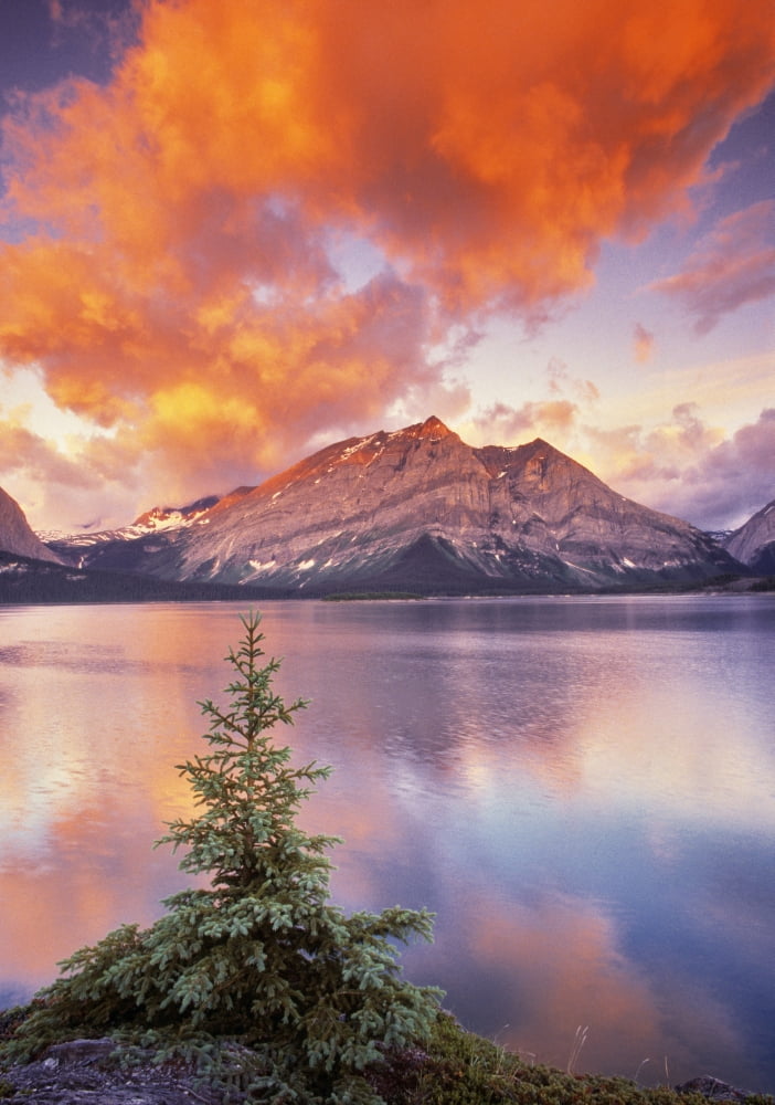Upper Kananaskis Lake Peter Lougheed Provincial Park Kananaskis Country Alberta Canvas Art - Darwin Wiggett Design Pics (11 x 16)