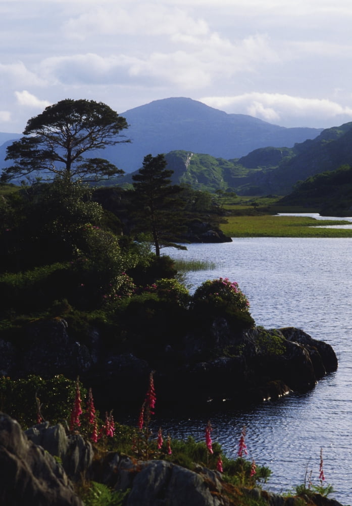 Upper Lake Killarney Co Kerry Ireland Lake With Mountain In The Distance Canvas Art - The Irish Image Collection Design Pics (12 x 18)