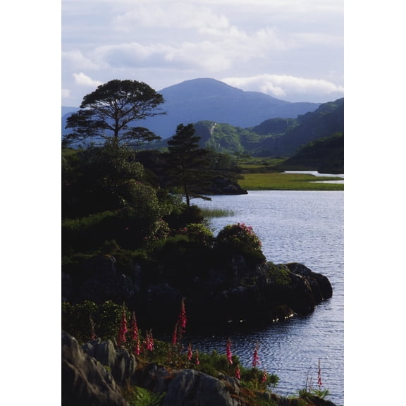 Upper Lake Killarney Co Kerry Ireland Lake With Mountain In The Distance Canvas Art - The Irish Image Collection Design Pics (12 x 18)