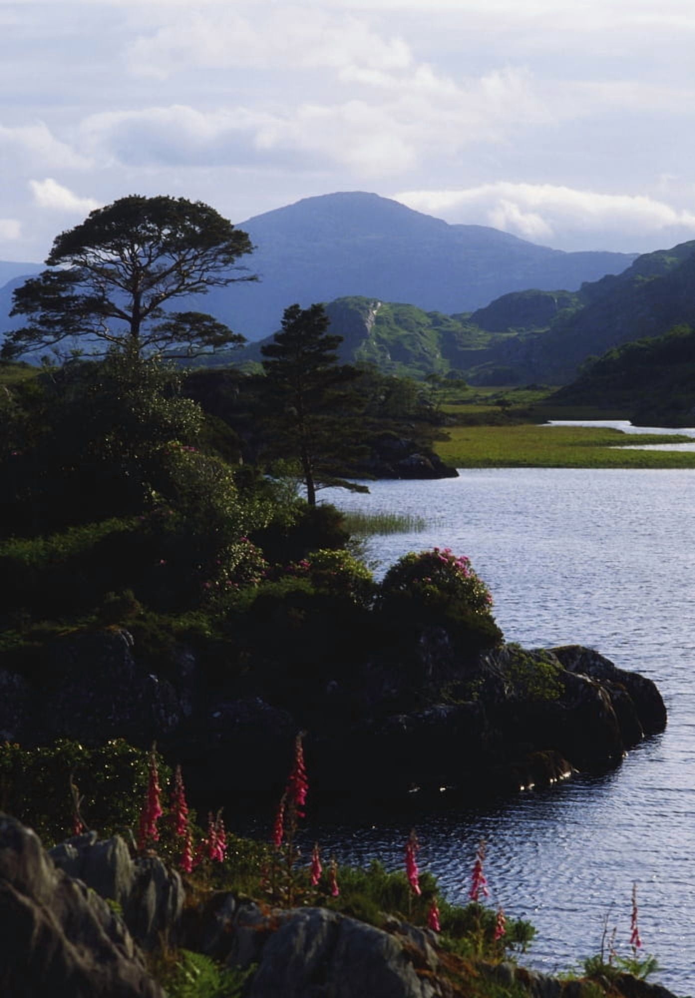 Upper Lake Killarney Co Kerry Ireland Lake With Mountain In The Distance Canvas Art - The Irish Image Collection Design Pics (24 x 36)