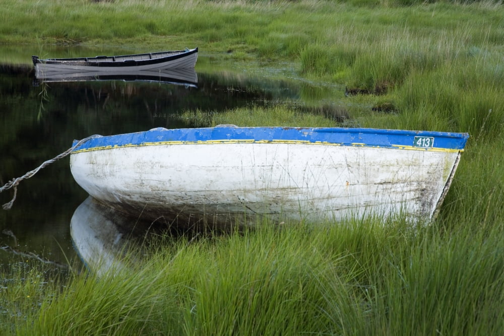Upper Lake Killarney National Park County Kerry Ireland Boat In Shore Grass Canvas Art - Richard Cummins Design Pics (17 x 11)