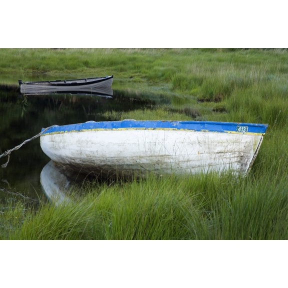 Upper Lake Killarney National Park County Kerry Ireland Boat In Shore Grass Canvas Art - Richard Cummins Design Pics (34 x 22)