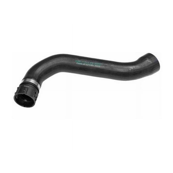 Upper Radiator Hose - Compatible with 2000 - 2003 BMW M5 2001 2002