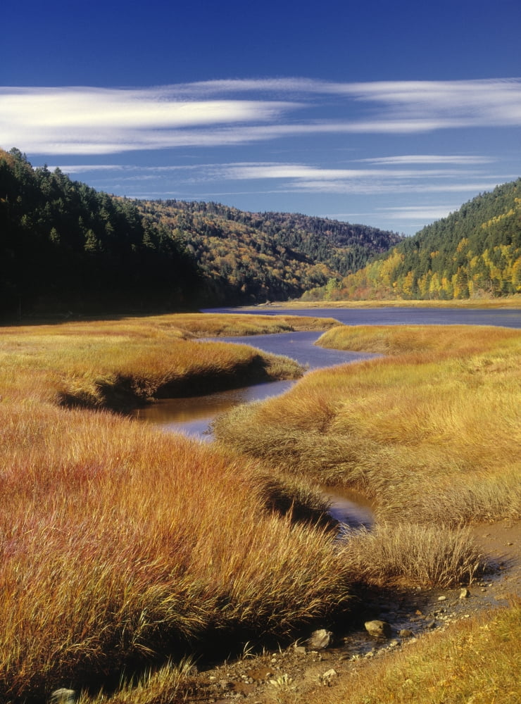 Upper Salmon River Fundy National Park New Brunswick Canada Canvas Art - Darwin Wiggett Design Pics (12 x 16)