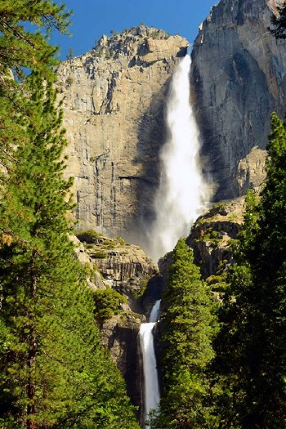 Upper and Lower Yosemite Falls Merced River Yosemite NP California Canvas Art - Michel Hersen DanitaDelimont (27 x 40)