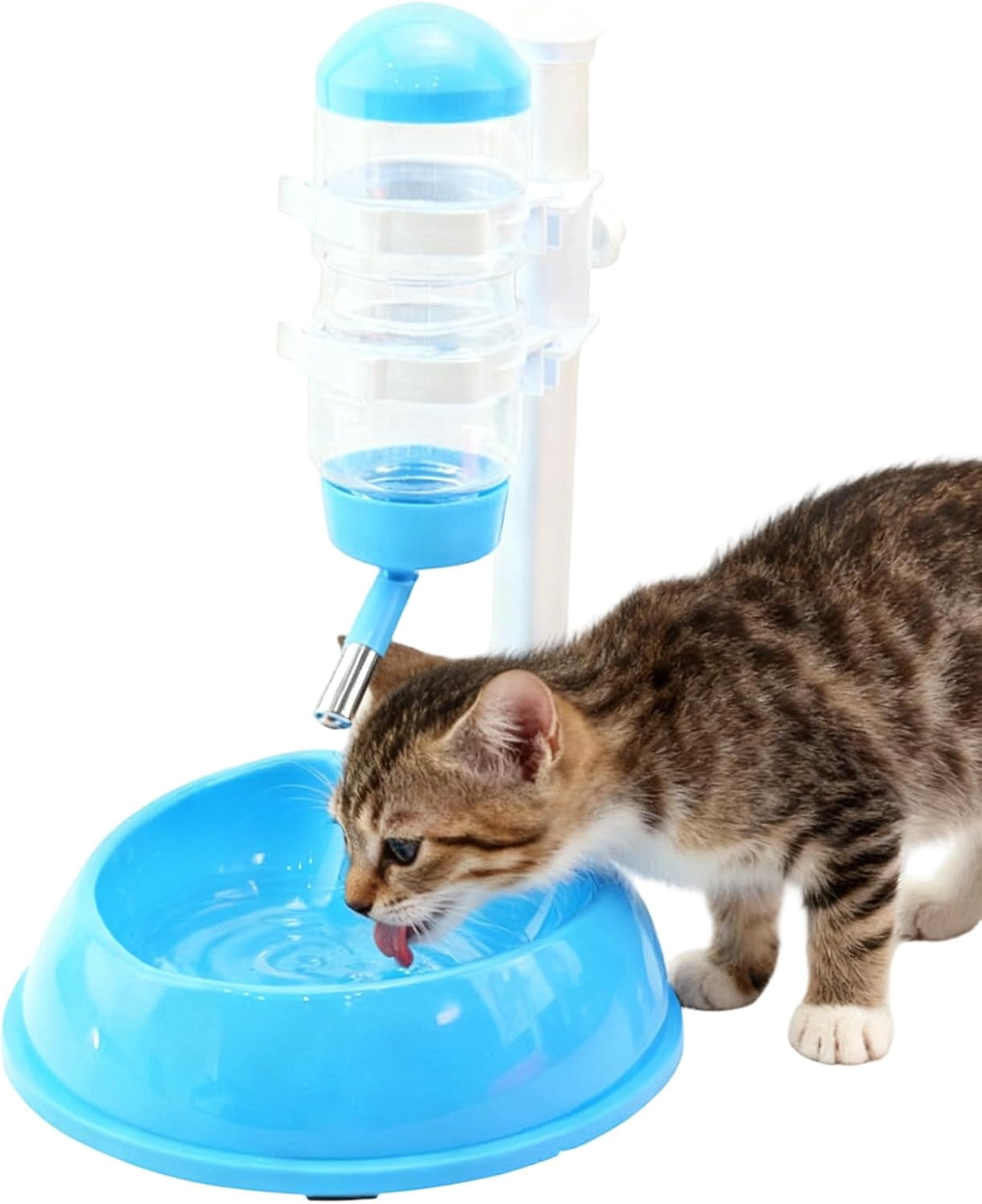 Upright Adjustable Dog Water Fountain, Splash Proof Detachable Bowl, Height Stand, Indoor Outdoor