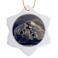 thumbnail image 1 of 3drose, Upside down Cat, 3 inch Snowflake Porcelain Ornament, 1 of 7