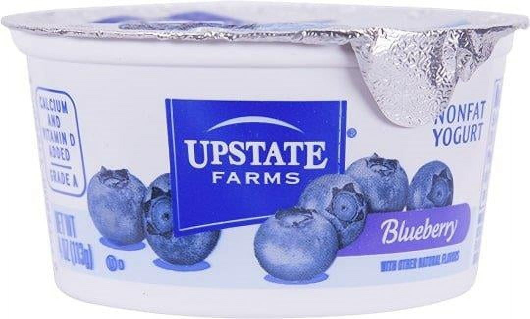 Upstate Farms Nonfat Blueberry Yogurt, 4 Ounce 48 per case