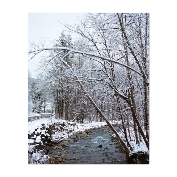 Upstate New York Snow III - New York Photography Winter Snow Nature Landscape Scenic Forest Woodland Unframed Wall Art Print 8 x 12 inches