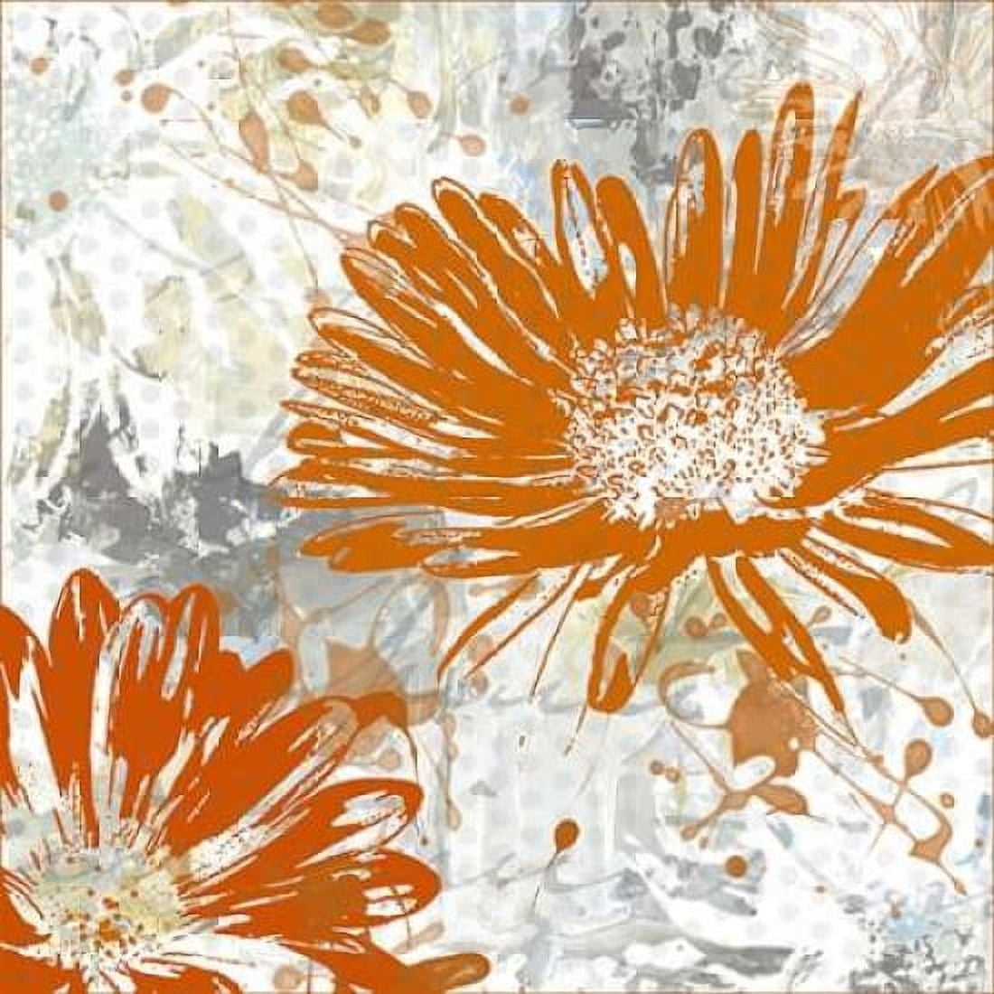 Upsy Daisy I Canvas Art - Michael King (24 x 24)