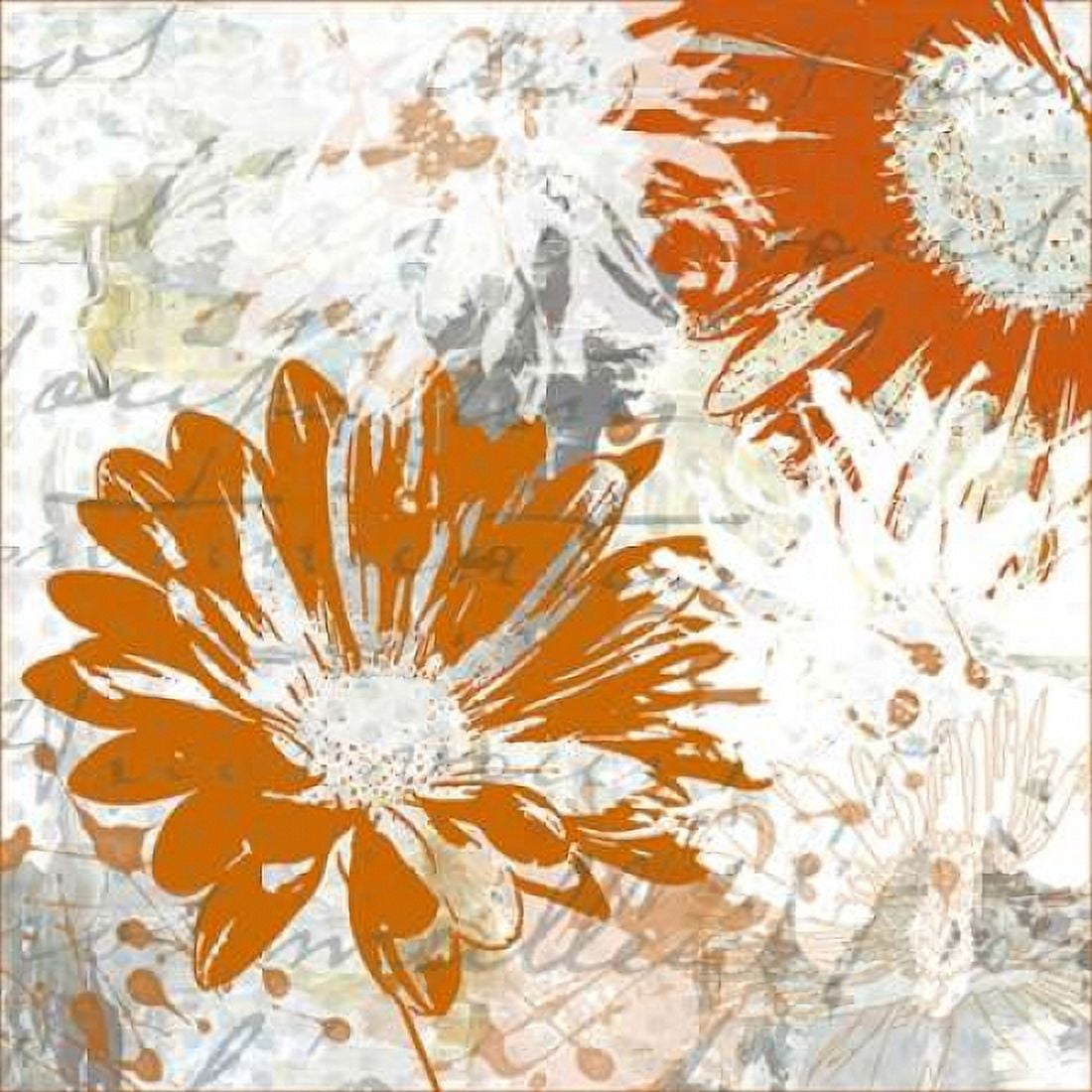 Upsy Daisy II Canvas Art - Michael King (24 x 24)