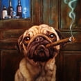 thumbnail image 1 of Uptown Pug Poster Print by Lucia Heffernan, 1 of 2