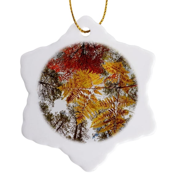 3drose, Upward View Through Ferns in Pine Forest, Upper Peninsula of Michigan., 3 inch Snowflake Porcelain Ornament