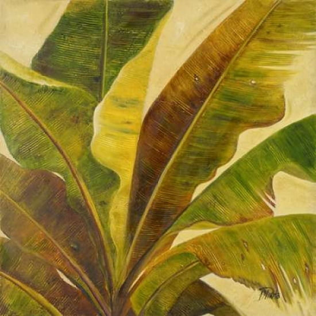 Uraba I Canvas Art - Patricia Pinto (24 x 24)