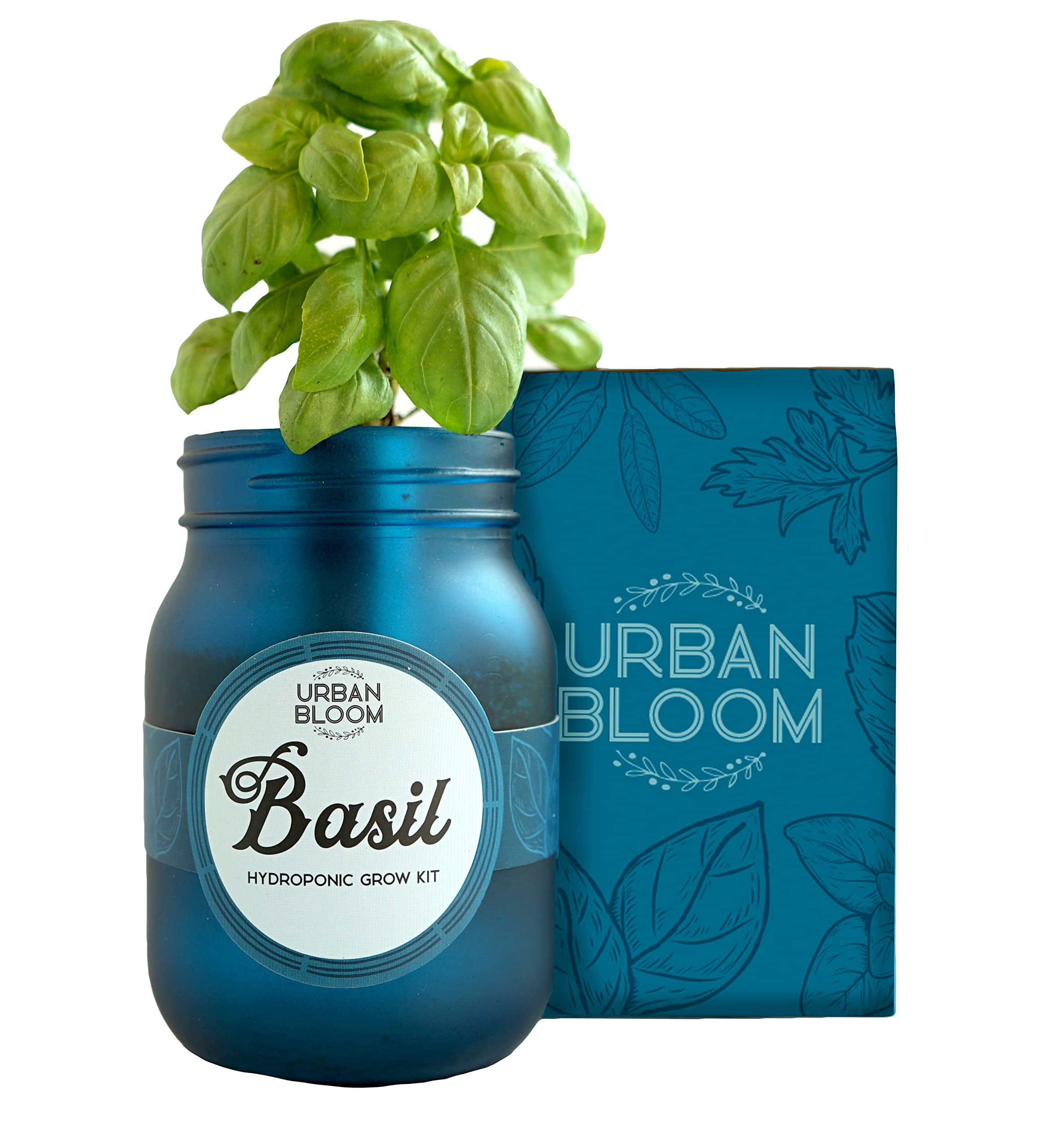 Urban Bloom Hydroponic Herb DHF10 Growing Kits Fresh Basil Garden