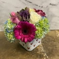 thumbnail image 1 of Urban Country Flower Co. Love Shines Bright Hydrangeas, Roses, Gerber Daisies, Kale Tulips, Cut & Fresh Flower Bouquet, 1 of 6