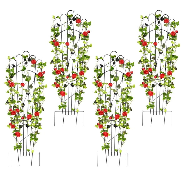plantclimbingtrellis