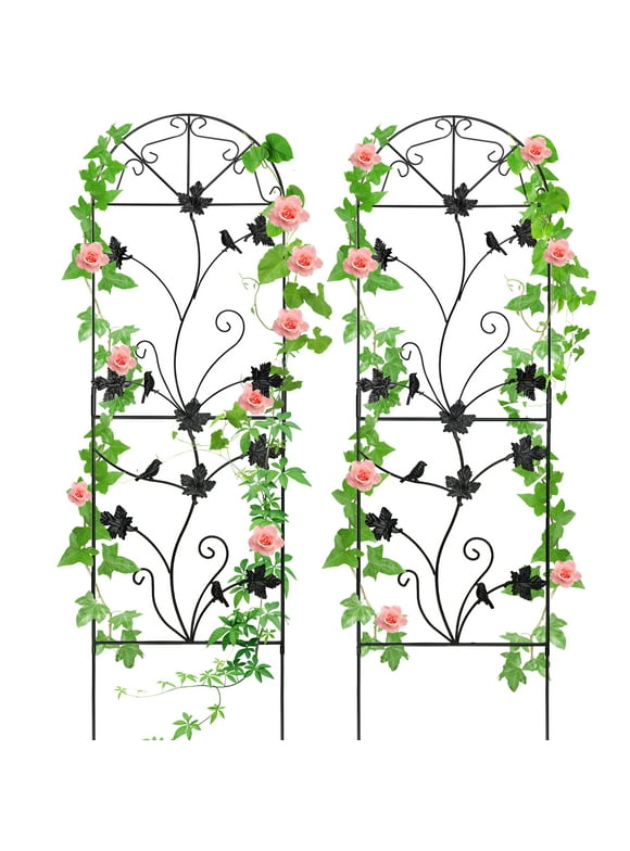 Trellises