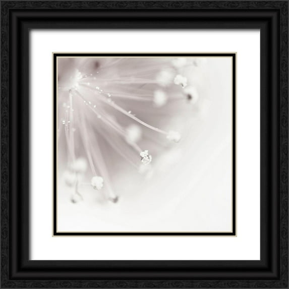 Urban Epiphany 12x12 Black Ornate Wood Framed with Double Matting Museum Art Print Titled - Flagella 2