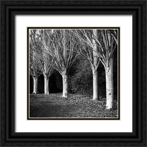 Urban Epiphany 12x12 Black Ornate Wood Framed with Double Matting Museum Art Print Titled - Winter Avenue Square