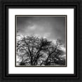 thumbnail image 1 of Urban Epiphany 12x12 Black Ornate Wood Framed with Double Matting Museum Art Print Titled - Winter Sky Square, 1 of 4