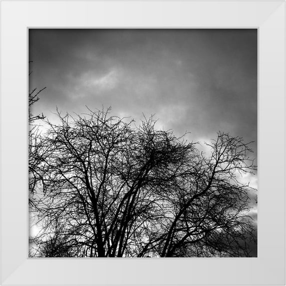 Urban Epiphany 12x12 White Modern Wood Framed Museum Art Print Titled - Winter Sky Square