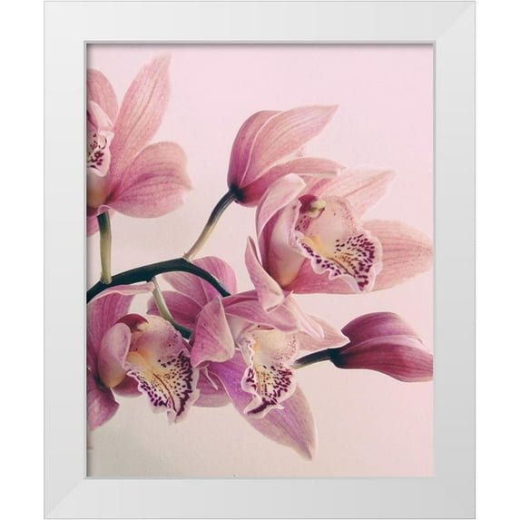 Urban Epiphany 12x14 White Modern Wood Framed Museum Art Print Titled - Pink Orchids
