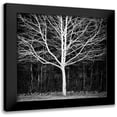thumbnail image 1 of Urban Epiphany 15x15 Black Modern Framed Museum Art Print Titled - Winter Tree Square, 1 of 5