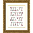 thumbnail image 1 of Urban Epiphany 15x18 Gold Ornate Wood Framed with Double Matting Museum Art Print Titled - MidCentury Ranunculus Tones 7, 1 of 4