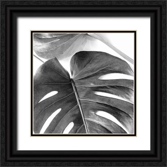 Urban Epiphany 20x20 Black Ornate Wood Framed with Double Matting Museum Art Print Titled - Monstera Leaves