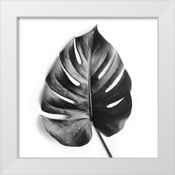 Urban Epiphany 20x20 White Modern Wood Framed Museum Art Print Titled - Monstera