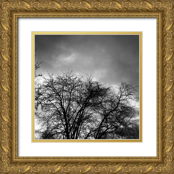 Urban Epiphany 26x26 Gold Ornate Wood Framed with Double Matting Museum Art Print Titled - Winter Sky Square