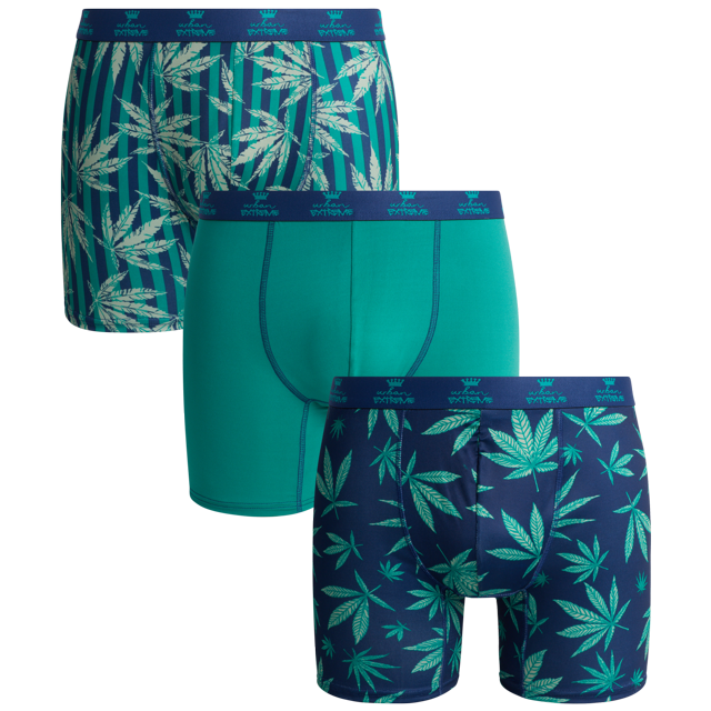 Urban Extreme Mens Underwear 3 Pack Performance Boxer Briefs Dry