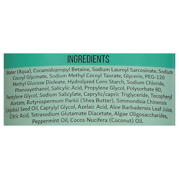 Urban Hydration Algae Face Wash 4.0 fl oz