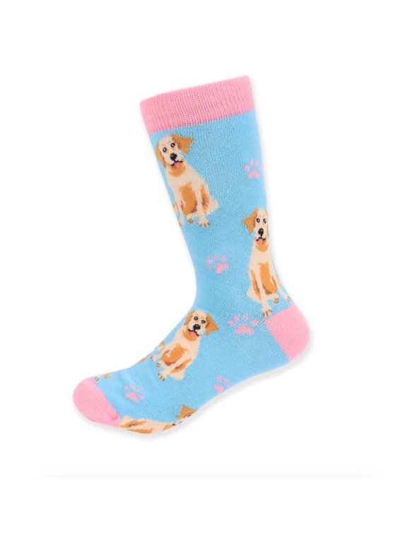 Women's Novelty Fun Crew Socks for Dress or Casual - Golden Retrievers - Blue & Pink, 1 Pair