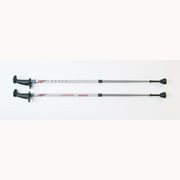 Urban Poling Activator Walking Poles