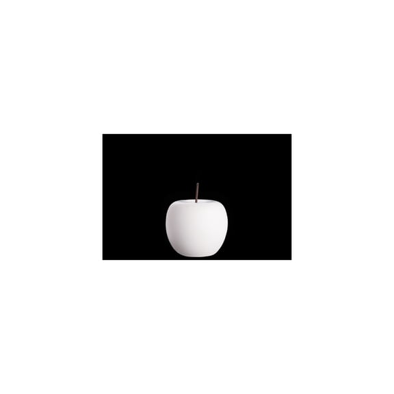 Urban Trends Porcelain Apple  Figurine